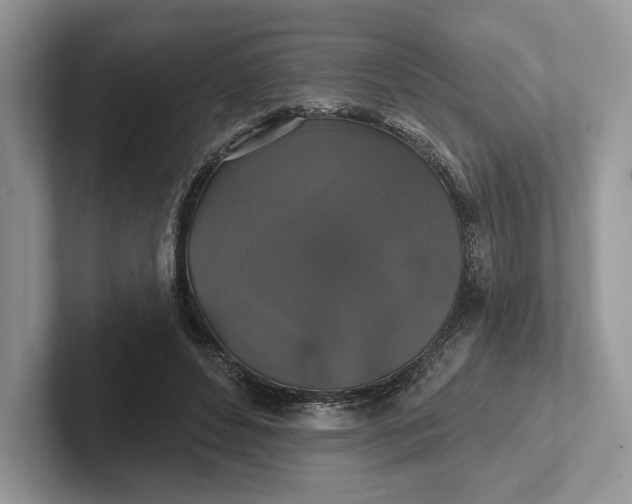 X0000101450496200807211316