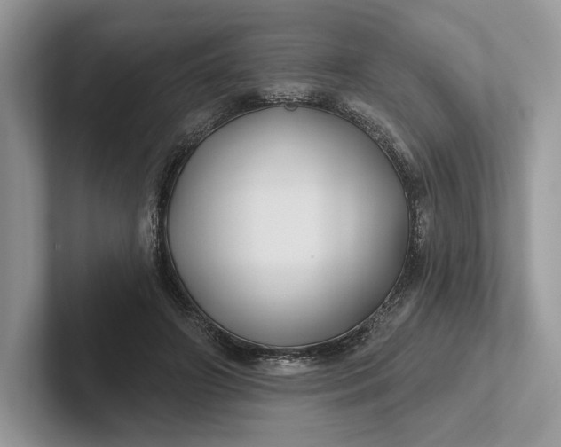 X0000101450498200807211315