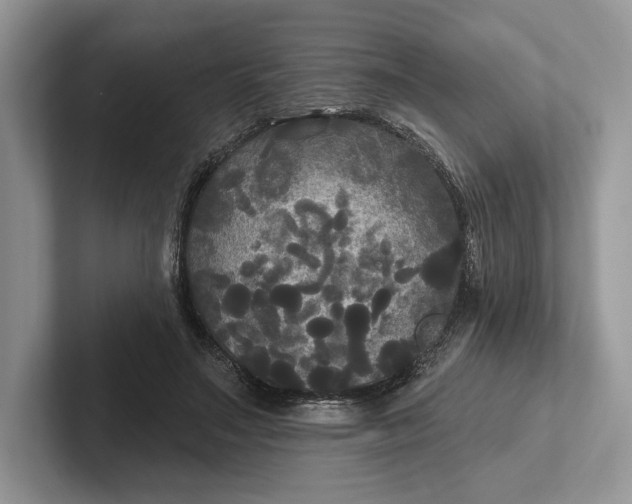 X0000101450499200807211315