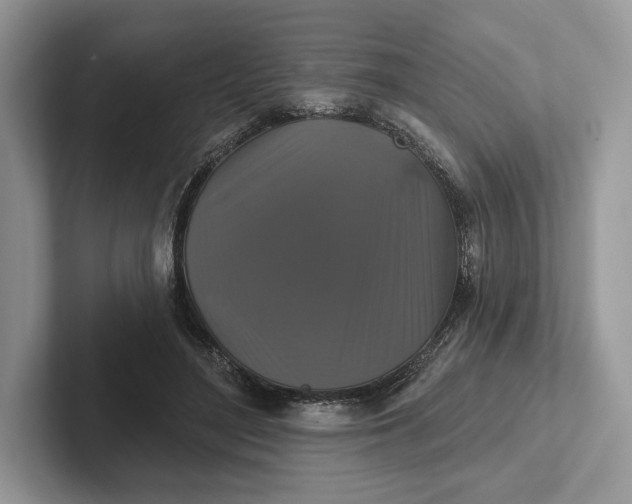 X0000101450500200807211315