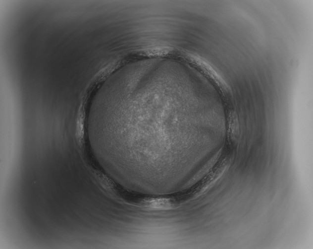 X0000101450501200807211315