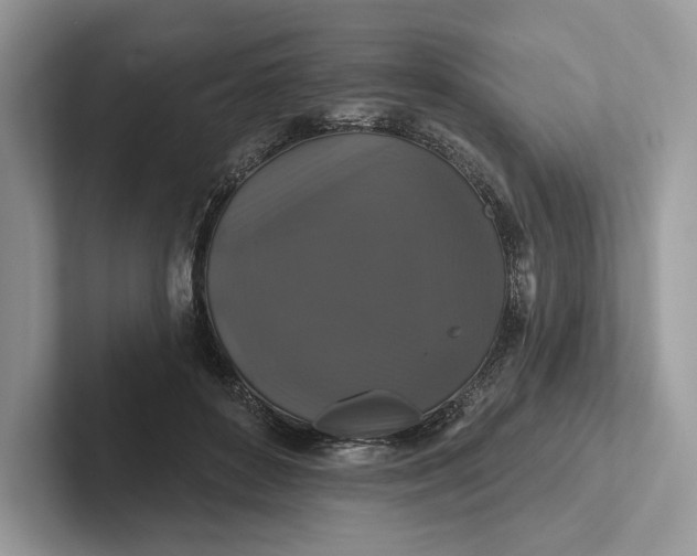 X0000101450504200807211315