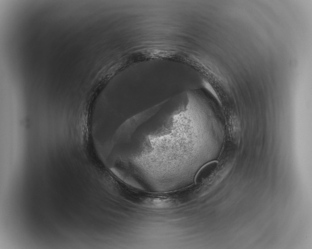 X0000101450506200807211315