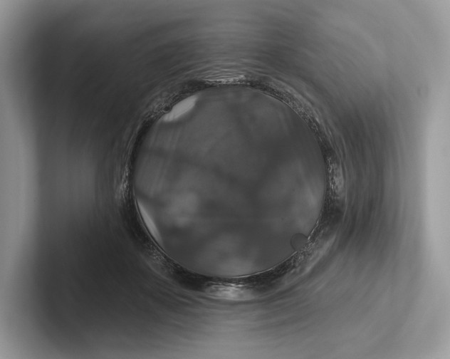 X0000101450507200807211315