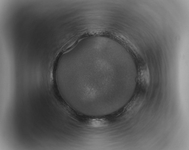 X0000101450508200807211315