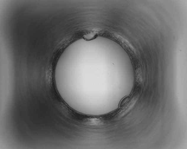 X0000101450509200807211315