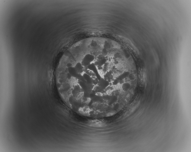 X0000101450511200807211315