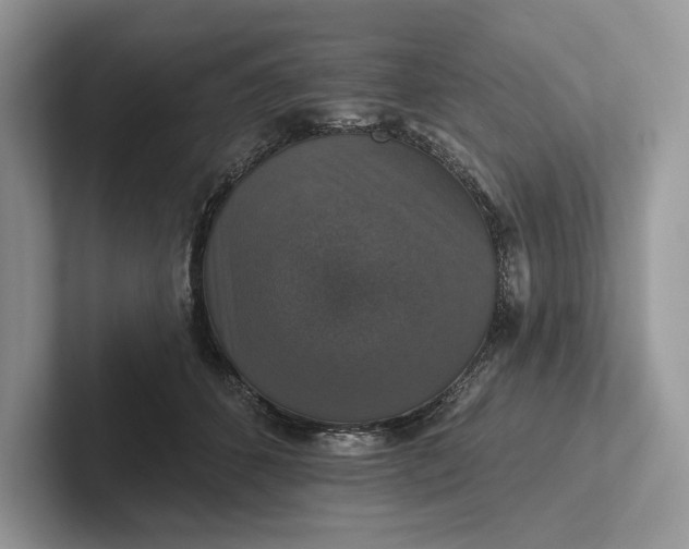 X0000101450512200807211315