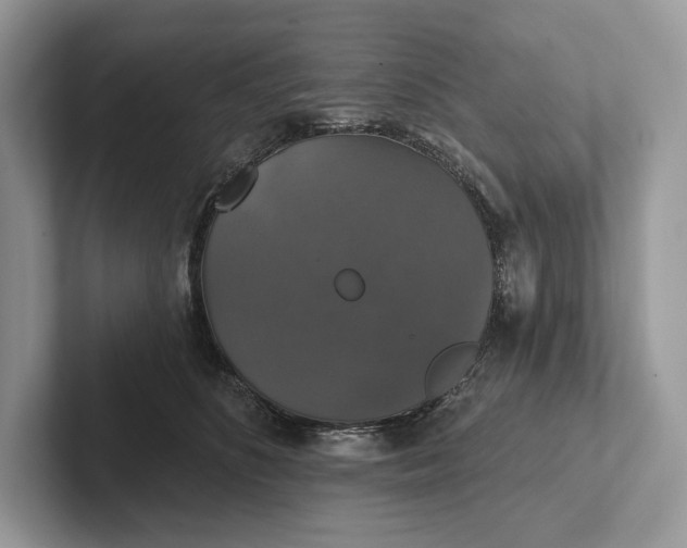 X0000101450516200807211315