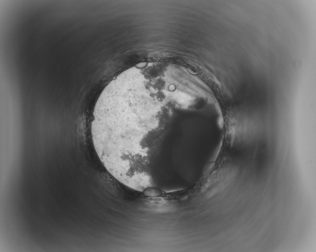 X0000101450519200807211315