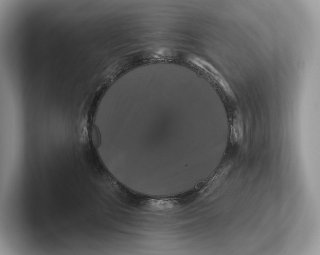 X0000101450520200807211315