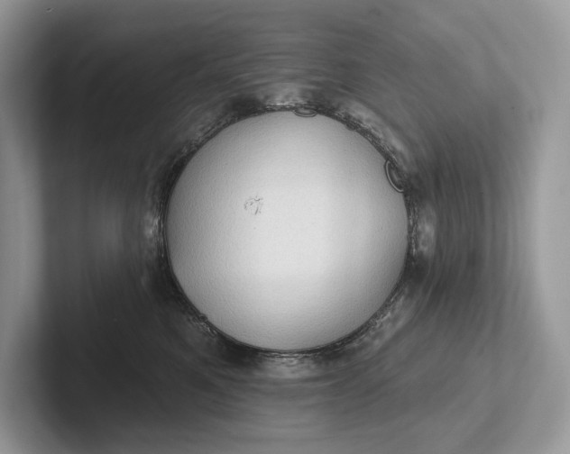 X0000101450521200807211315