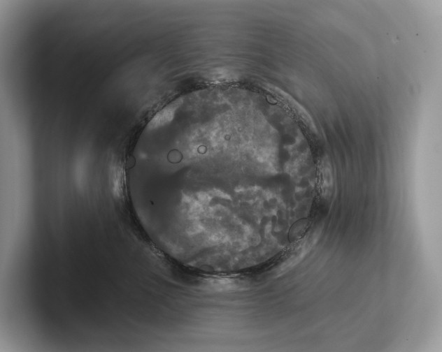 X0000101450523200807211315