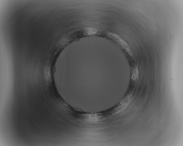 X0000101450524200807211315