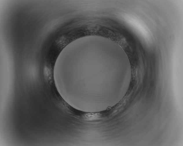 X0000101450526200807211315