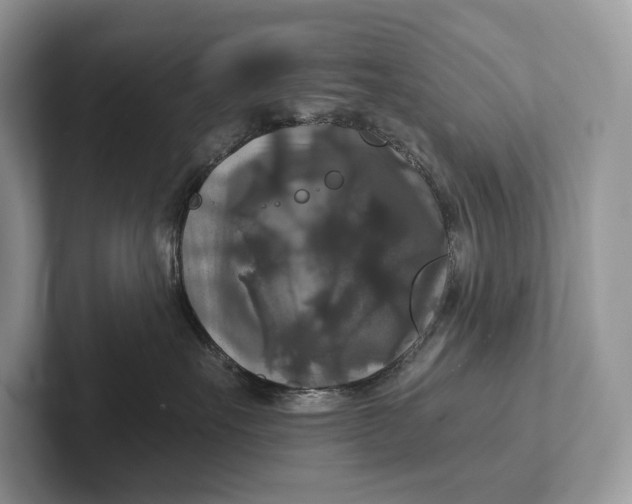 X0000101450527200807211315