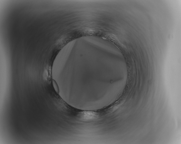 X0000101450528200807211315