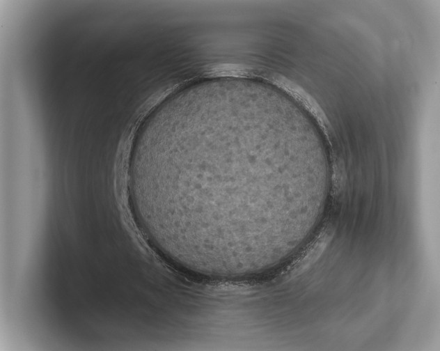 X0000101450529200807211314