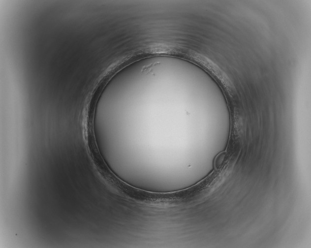 X0000101450530200807211314