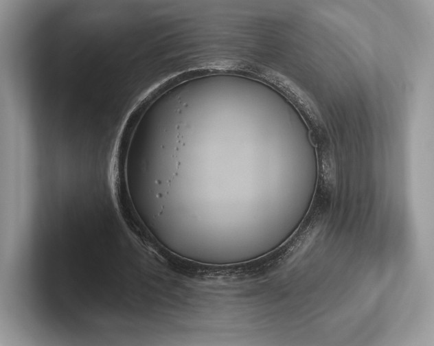 X0000101450532200807211314