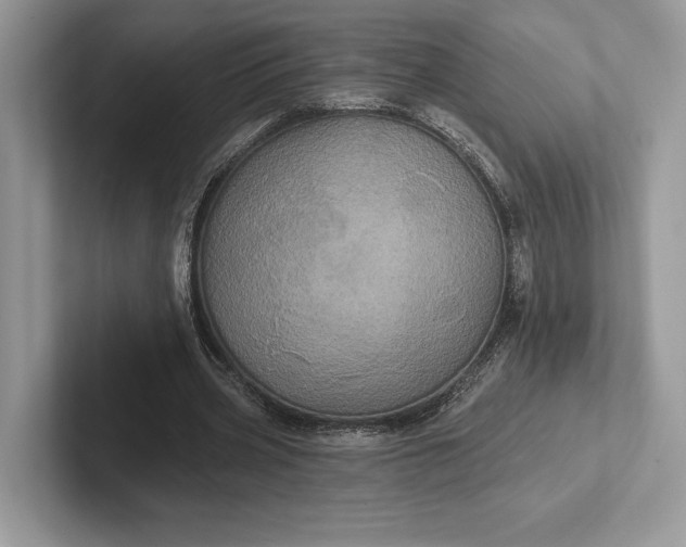 X0000101450533200807211314