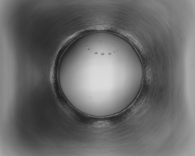 X0000101450536200807211315