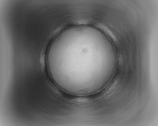 X0000101450537200807211315