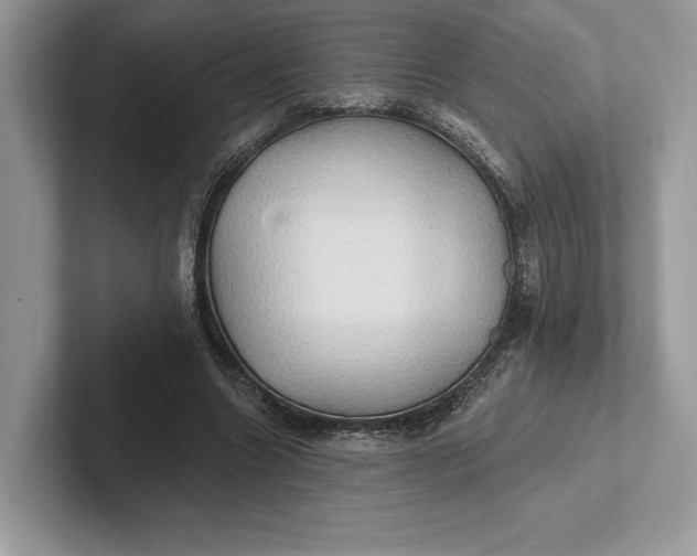 X0000101450538200807211315