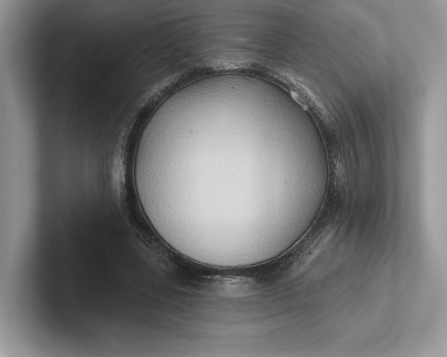 X0000101450539200807211315