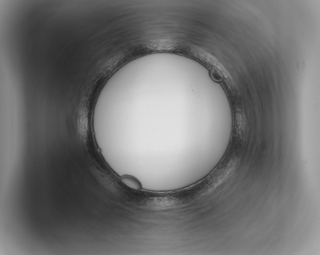 X0000101450541200807211315