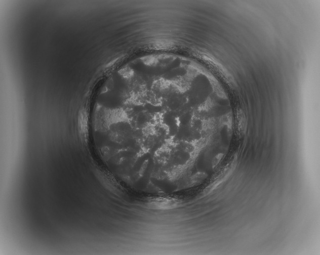 X0000101450542200807211315