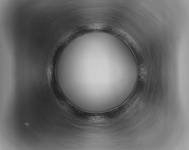 X0000101450544200807211315