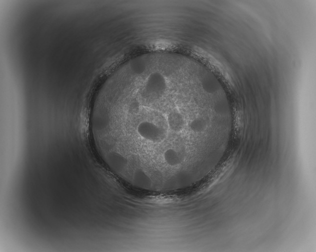 X0000101450545200807211315