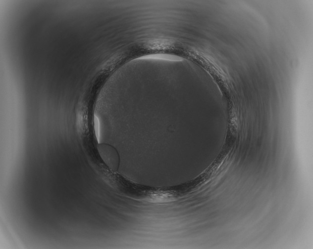 X0000101450547200807211315