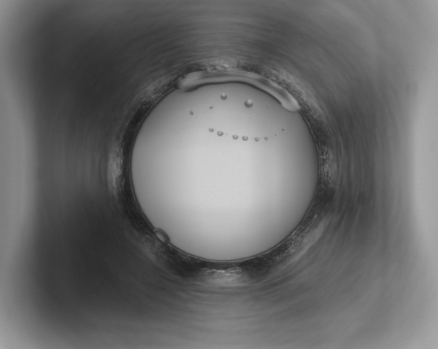 X0000101450548200807211315