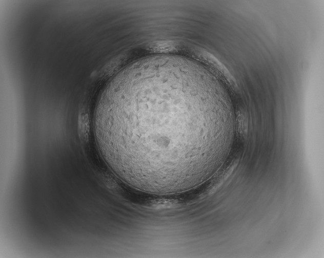 X0000101450549200807211315