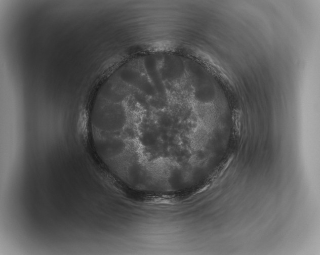 X0000101450550200807211315