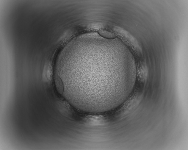 X0000101450552200807211315