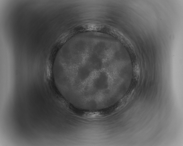 X0000101450554200807211315