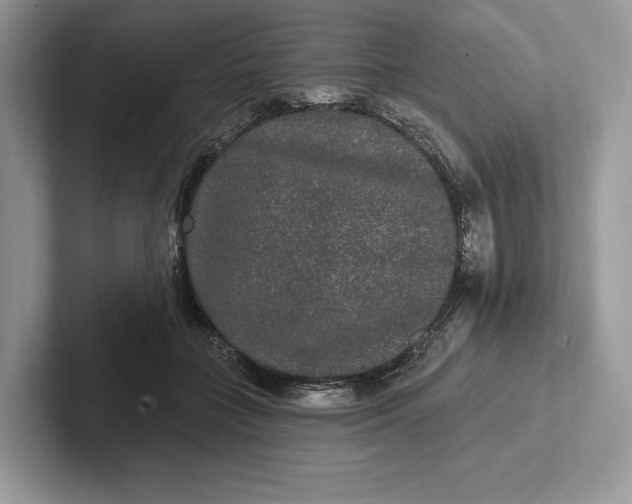 X0000101450555200807211315