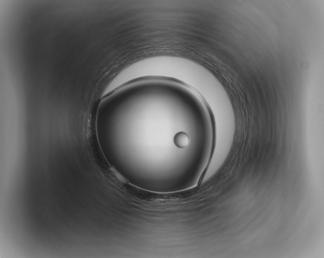 X0000101450556200807211315