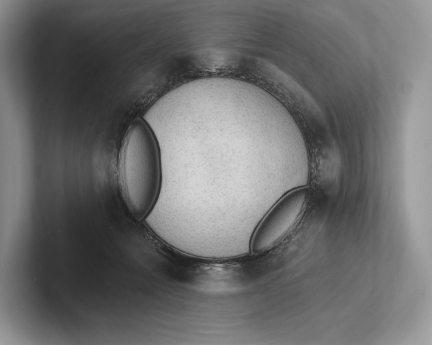 X0000101450558200807211315