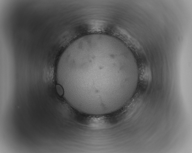 X0000101450560200807211315