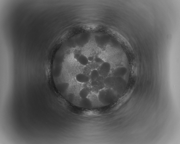 X0000101450561200807211315