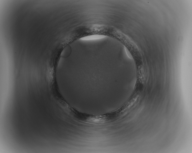 X0000101450563200807211315