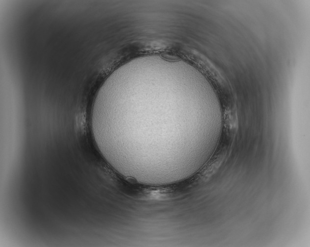 X0000101450564200807211315