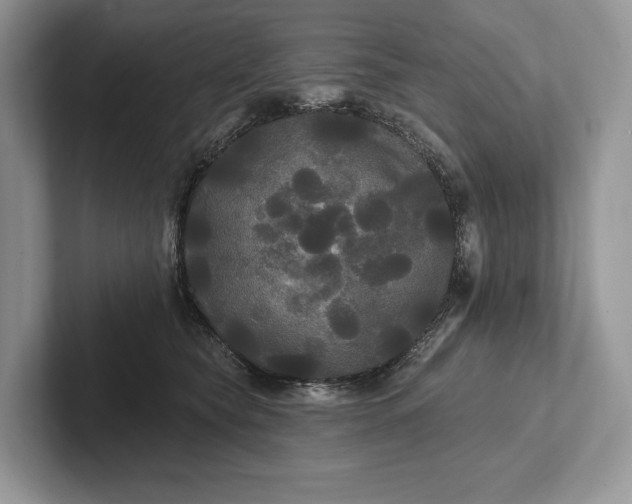 X0000101450565200807211315