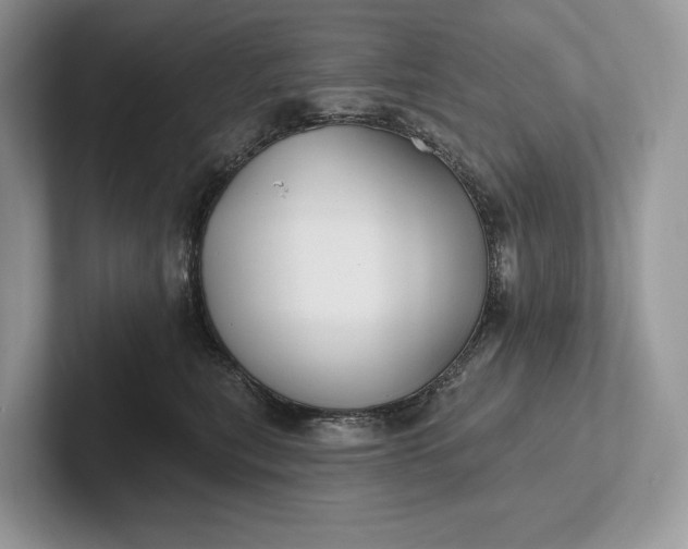 X0000101450567200807211315