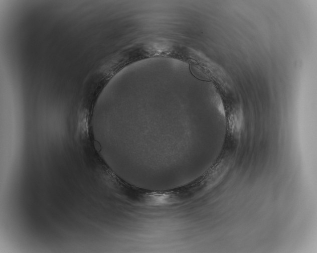 X0000101450570200807211315