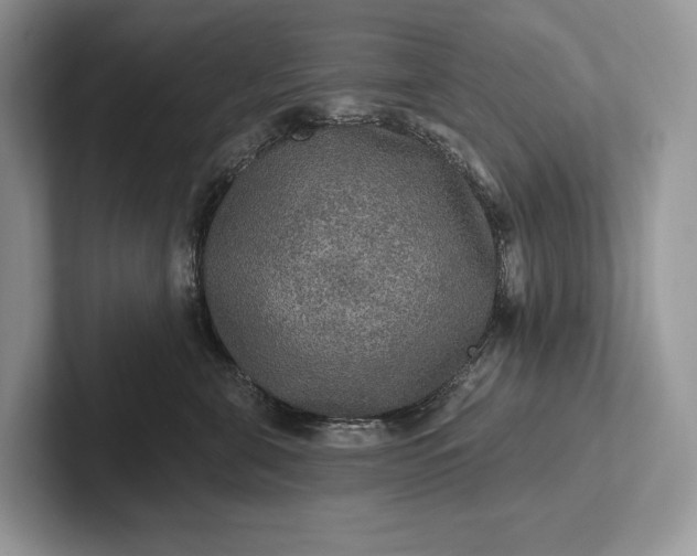 X0000101450571200807211315